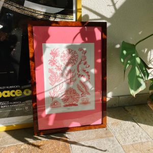 Botanische poster Roze passe-partout met walnoten houten lijst