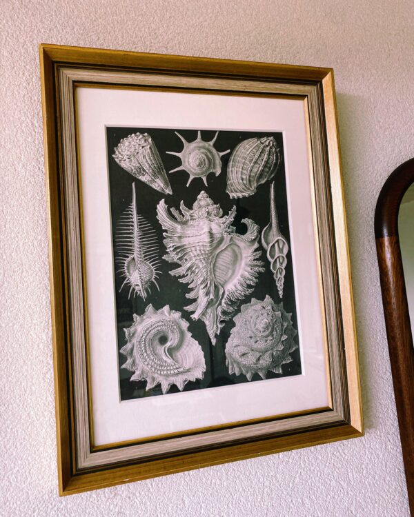 Vintage gouden lijst