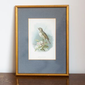 Vintage gouden lijst klein vogel