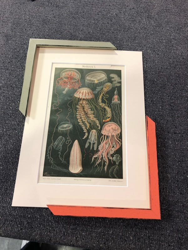Litho of zeekdruk inlijsten met zalm roze of groene lijst
